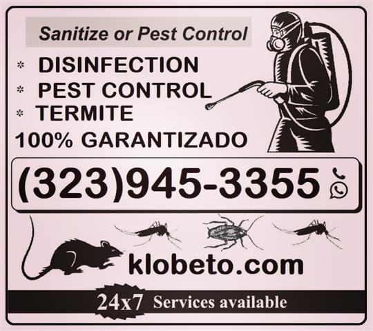 Pest Exterminator 24/7 all L.A image 9