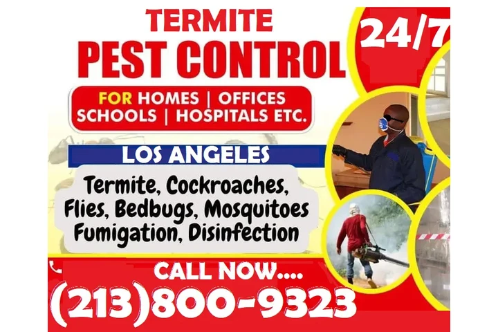 Pest Control Services 24/7. image 4