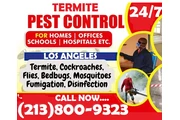 Pest Control Services 24/7. thumbnail