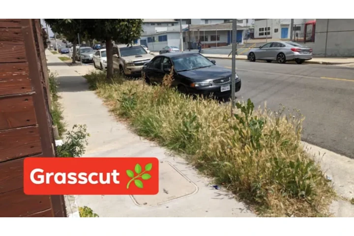 $45Corté de pasto 3232896968 image 1