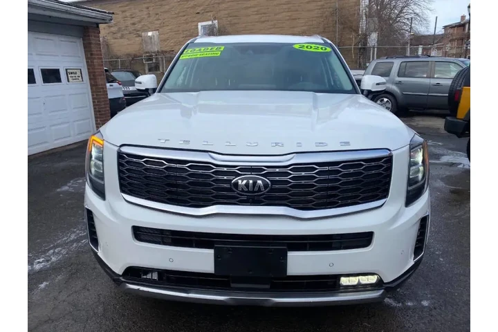 2020 Telluride SX image 3