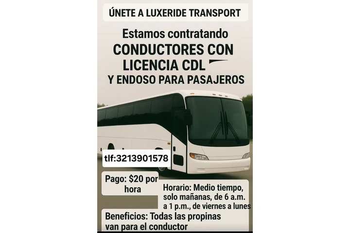 Buscando chofer profesional image 2