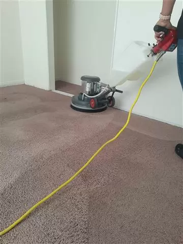 Roberto's carpet cleaning image 2