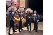 MARIACHIS POR HORAS Mariachi thumbnail