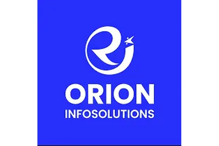 Orion InfoSolutions image 1