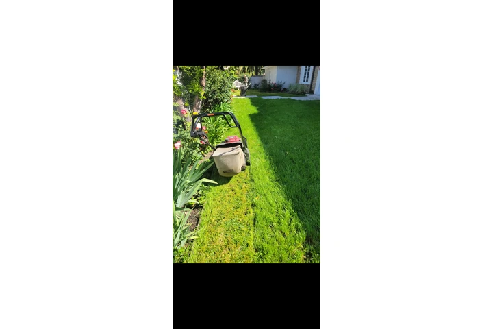 Alvarez Gardening image 2