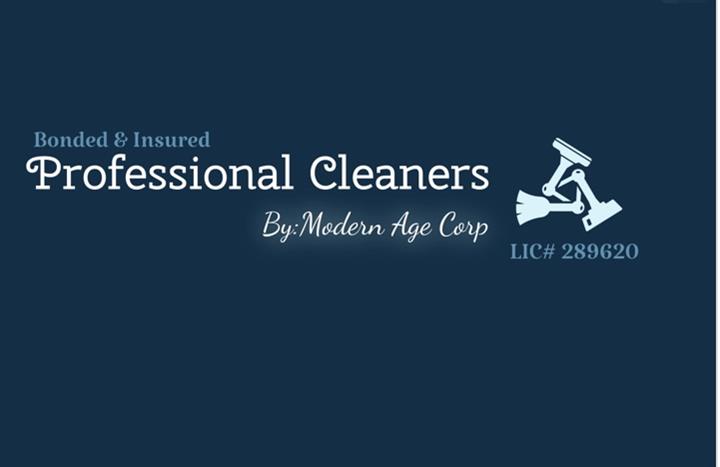 Professional Cleaners image 1