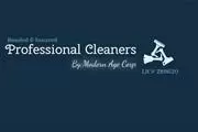 Professional Cleaners