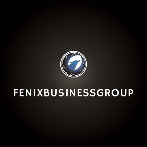 Fenix business group image 1