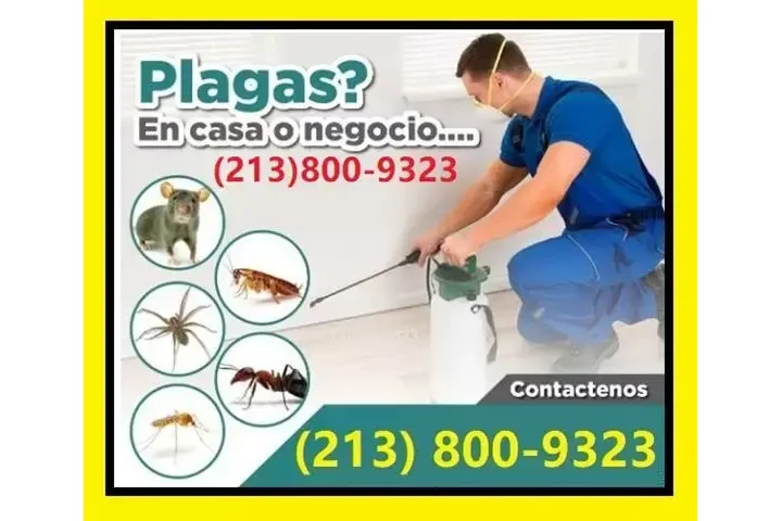 SERVICIO DE FUMIGACIÓN. image 1