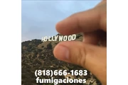 HOLLYWOOD FUMIGATIONS' 24/7 en Orange County