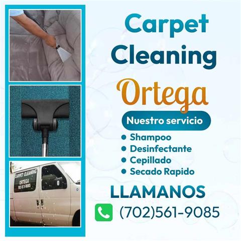 CARPET CLEANING ORTEGA image 2