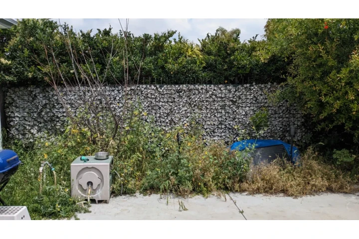 Corte de pasto a domicilio image 3