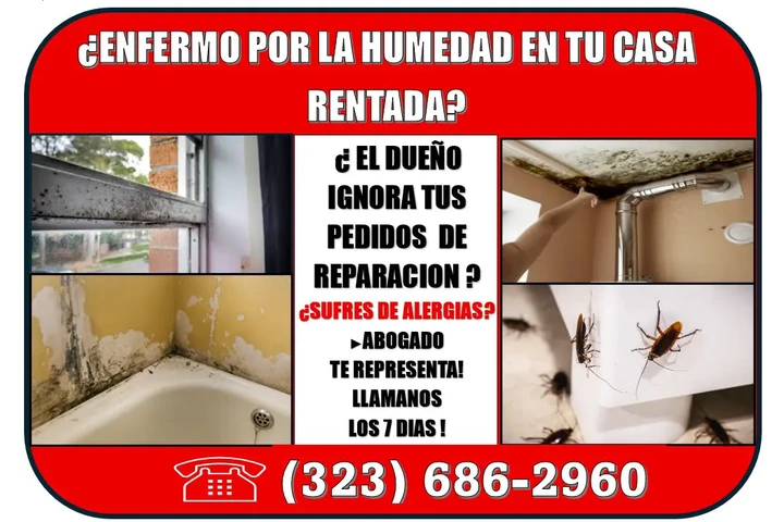 PROBLEMA DE HUMEDAD EN SU CASA image 1