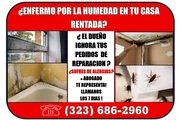 PROBLEMA DE HUMEDAD EN SU CASA