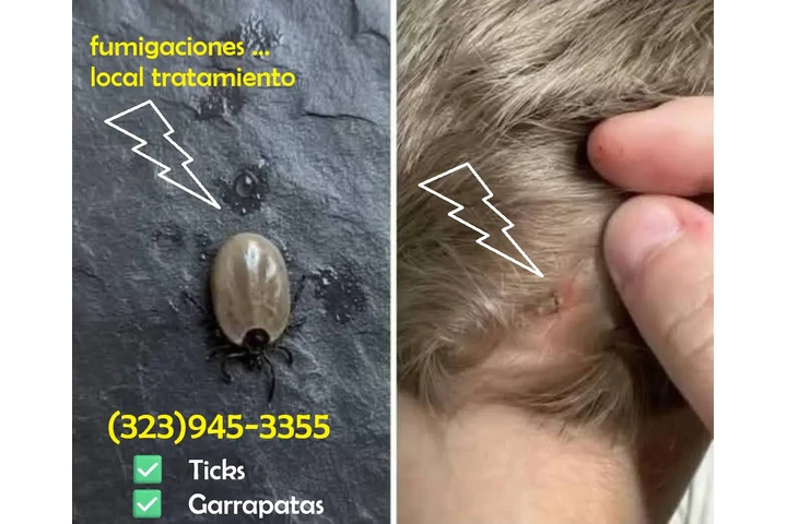 " TERMITE & PEST CONTROL.L.A." image 2