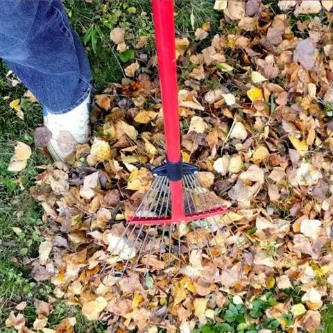 Montano's Landscaping image 6