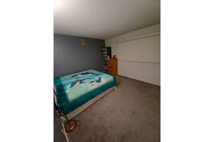 $950 : RENTO CUARTO GRANDE image 3