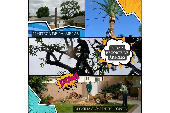 Servicios de Jardinería image 1