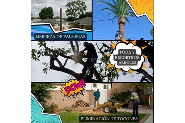 Servicios de Jardinería en Los Angeles