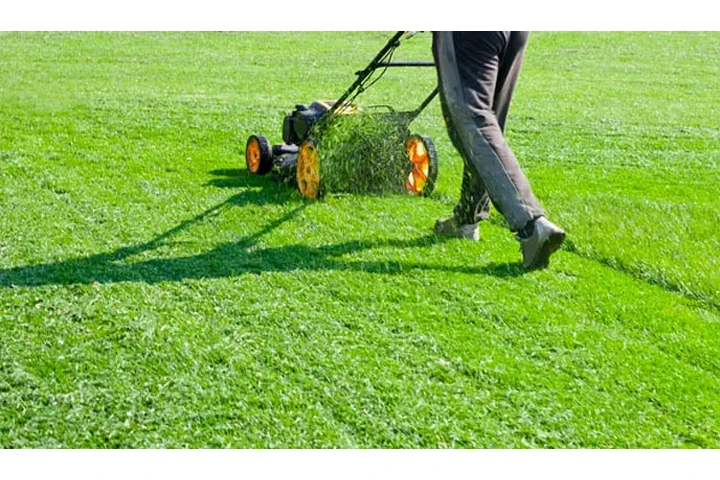 Lawn Mowing Services in Willia image 2