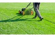 Lawn Mowing Services in Willia thumbnail