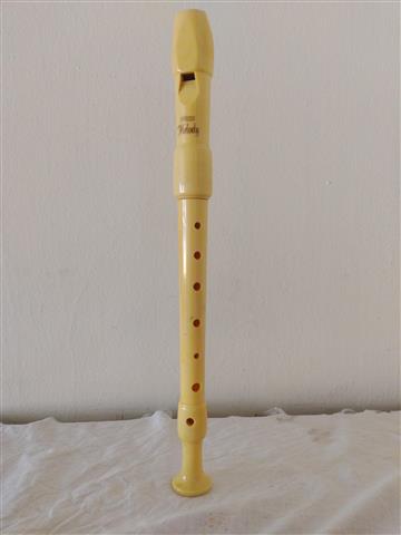 $100000 : Flauta Hohner  Dulce alemana image 1