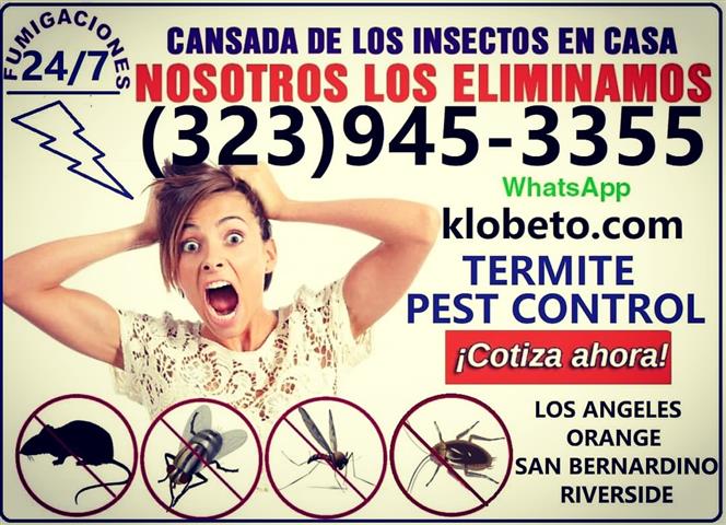 Exterminator Pest-Termite 24/7 image 1