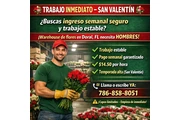 TEMPORADA DE SAN VALENTIN en Miami