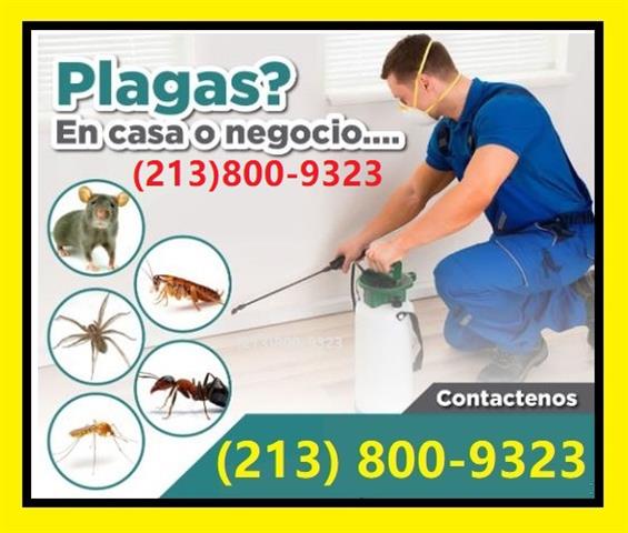 SERVICIOS EN FUMIGACIÓNES image 1