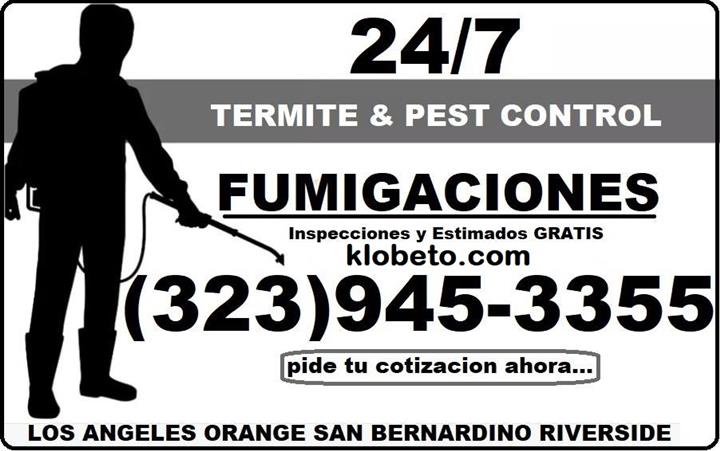 EAST L.A - PEST EXTERMINATION image 2