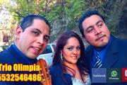 trios musicales en Coyoacan en Mexico DF