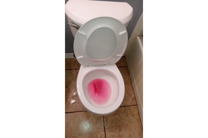 House cleaning image 7