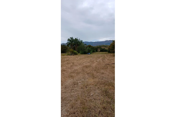 $32000000 : Terrenos campestre image 3