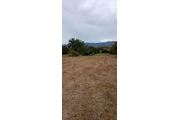 $32000000 : Terrenos campestre thumbnail
