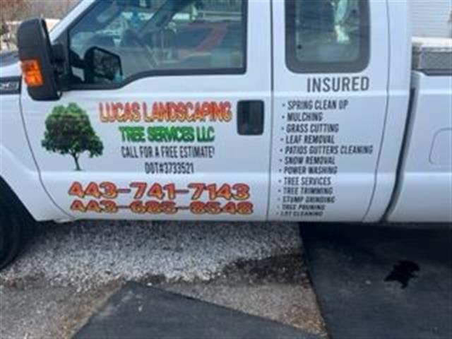 LUCAS LANDSCAPING TREE SERVICE image 4