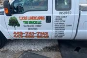 LUCAS LANDSCAPING TREE SERVICE thumbnail 4