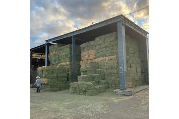 Artículos de Charrería image 3