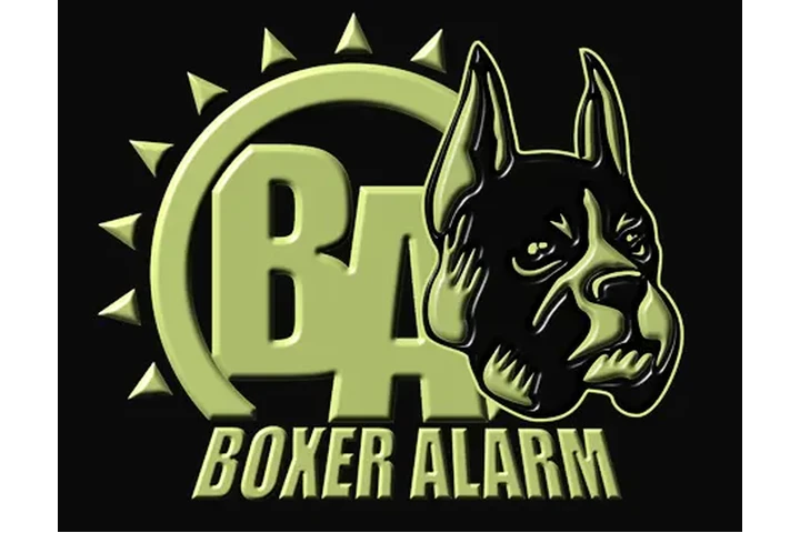 BOXERALARM SECURITY SOLUTIONS image 1