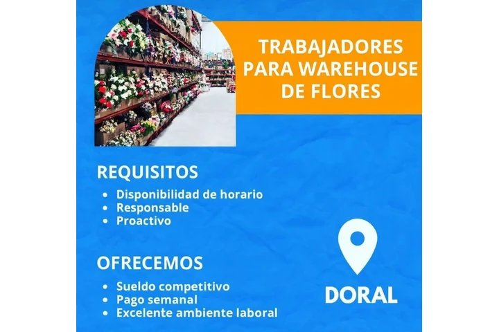 EMPLEO PARA HOMBRES image 1