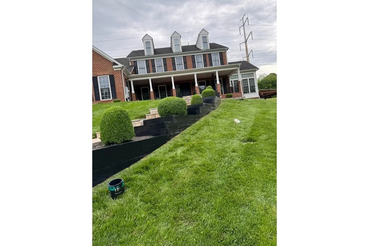 🌳HIDALGO LANDSCAPING SERVICES image 5