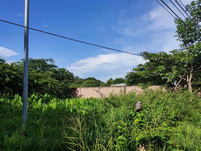 $250000 : Terreno en Venta en Playas Neg image 9