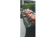 Tacos de guisados con tortilla en Los Angeles