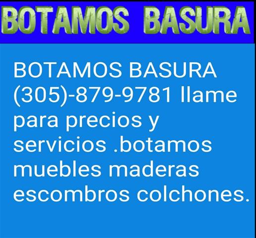 BOTAMOS BASURA image 2
