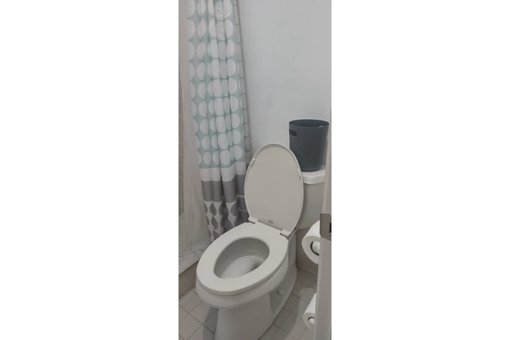 $1000 : Alquilo anexo persona sola image 6