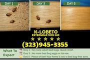 PEST CONTROL SERVICES L.A. thumbnail