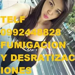 TELF 2428098 CONTROL DE PLAGAS image 1