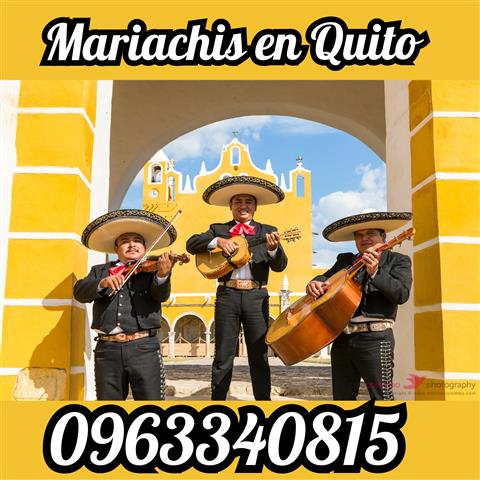Mariachi en Quito image 4