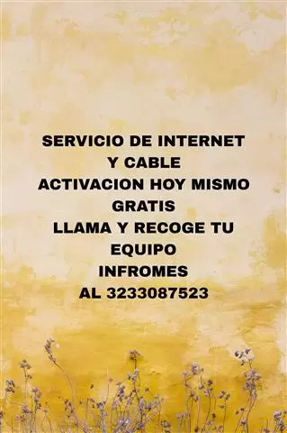 *INTERNET PARA HOY* image 1