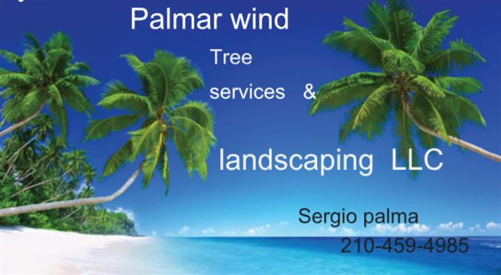 Palmar wind tree services image 1